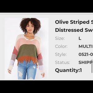 Distressed V neck Sweater